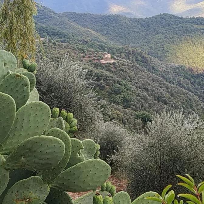 Appartamento Incantevole La Grotta Apricale Extérieur photo
